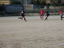 thumb_100_0437.jpg